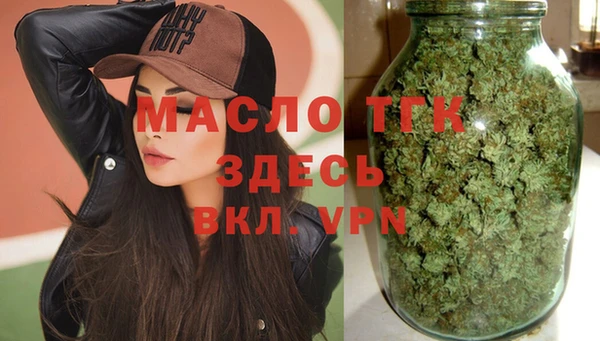 индика Аркадак