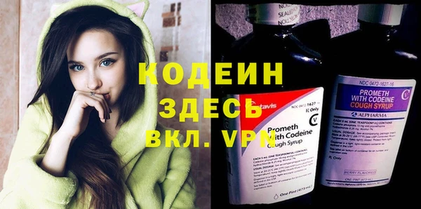 индика Аркадак